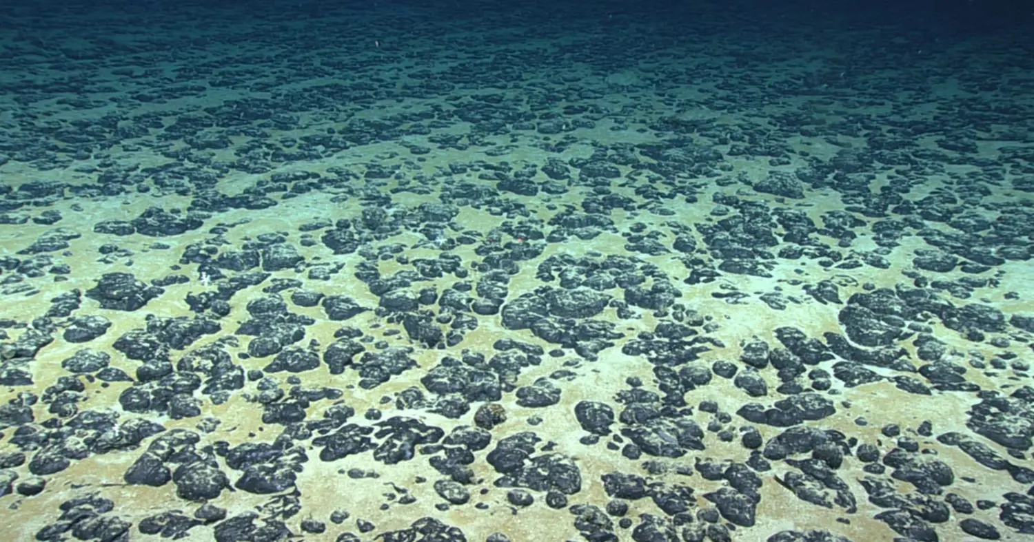 Seabed mining poses dangers to the Pacific: Report