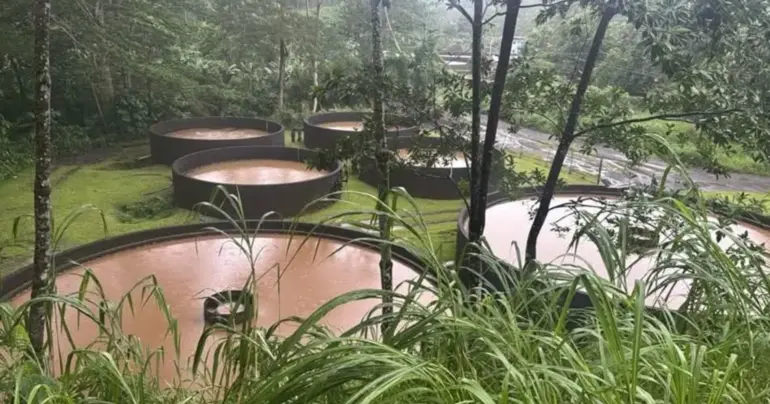 Heavy rainfall disrupts water supply