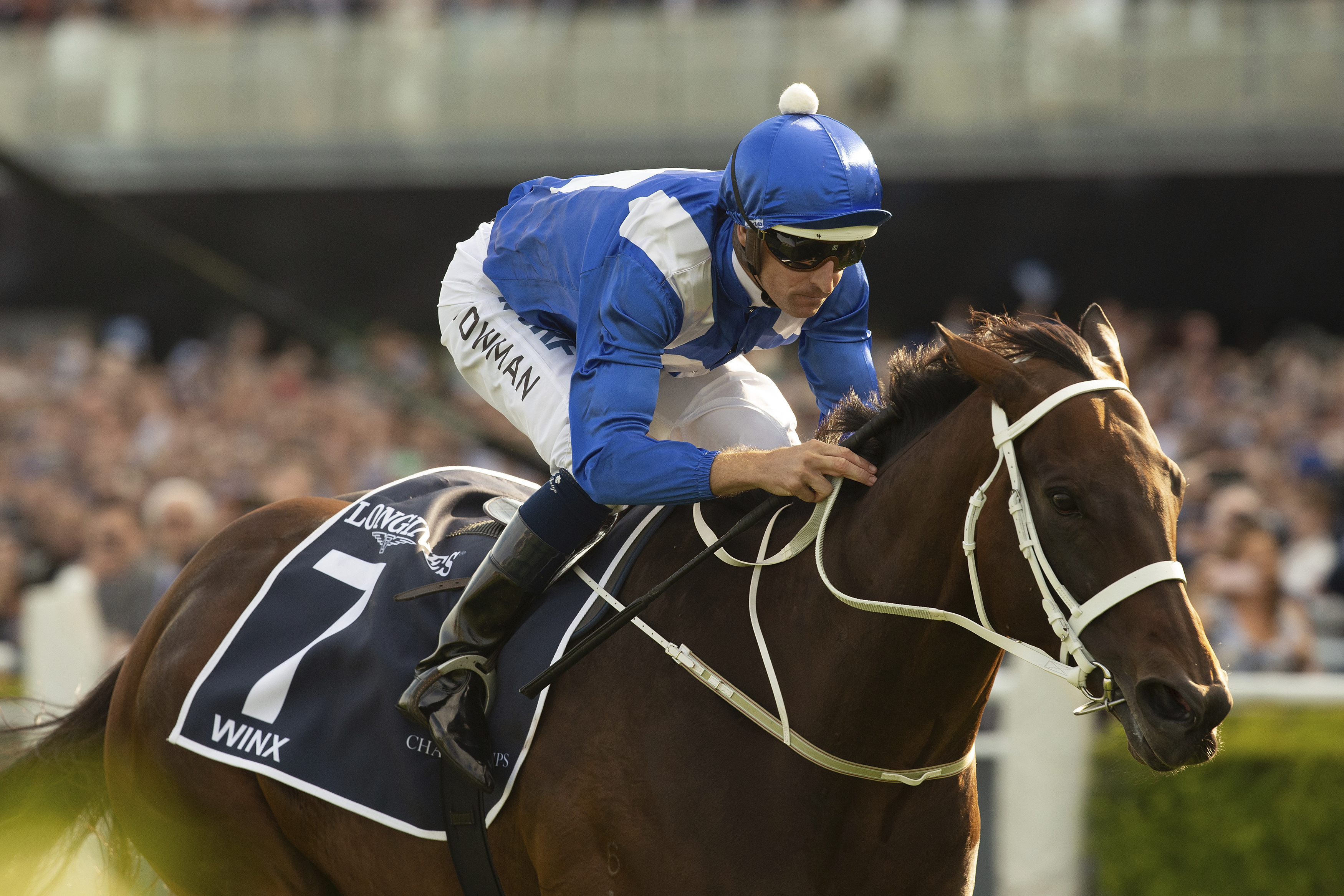 Record-breaking mare Winx wins final race in Australia