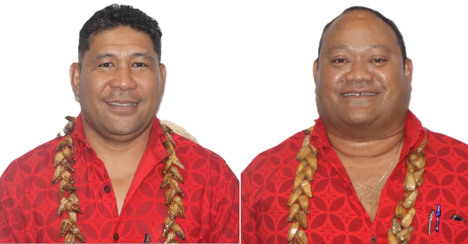 Independent files for recount in Palauli No. 2