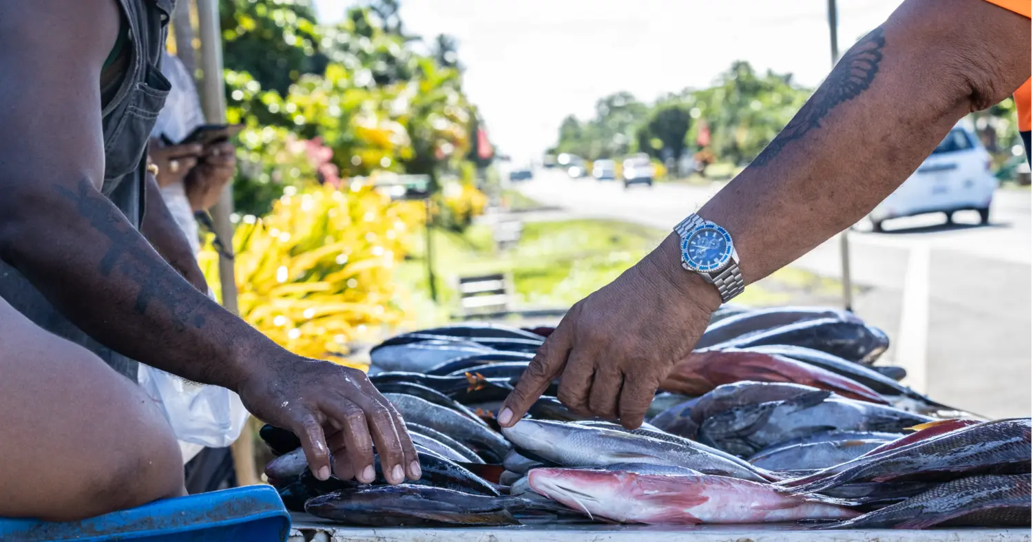 Samoa Observer | Bringing back traditional foods could be a good thing