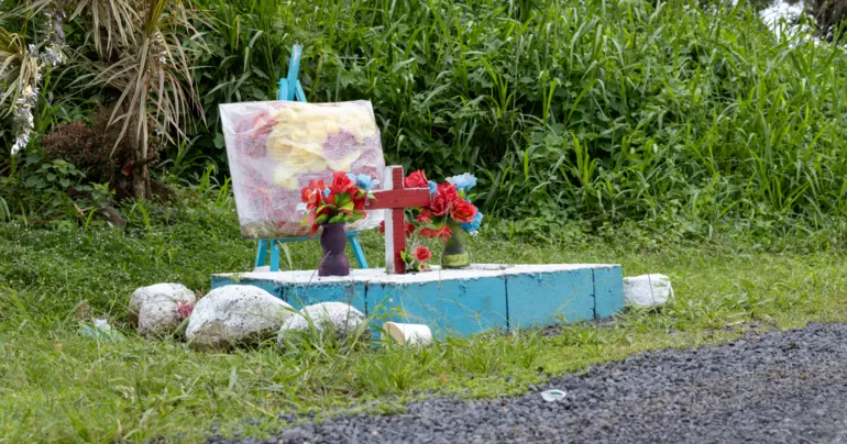 Family furious over politicising of dead son's name