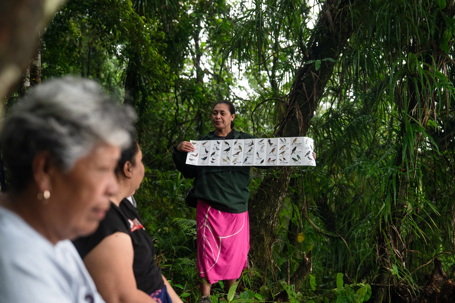 People of the Year: Manumea caretakers - How AI helped with sighting Samoa's Manumea 