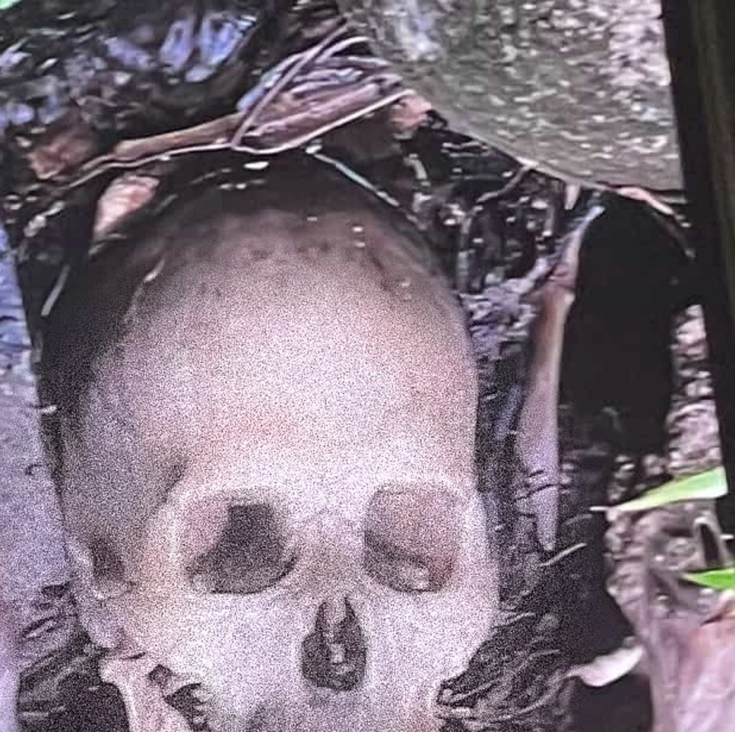 Aleisa skeleton was of male, aged 35–45