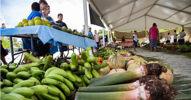 Plant-based diet reduced cancer growth