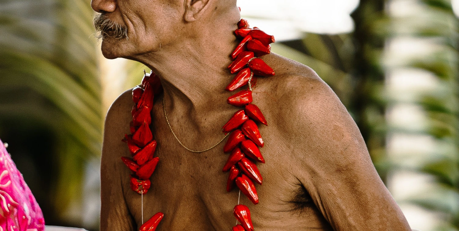 Samoa matai in NZ urges PM to lift ban