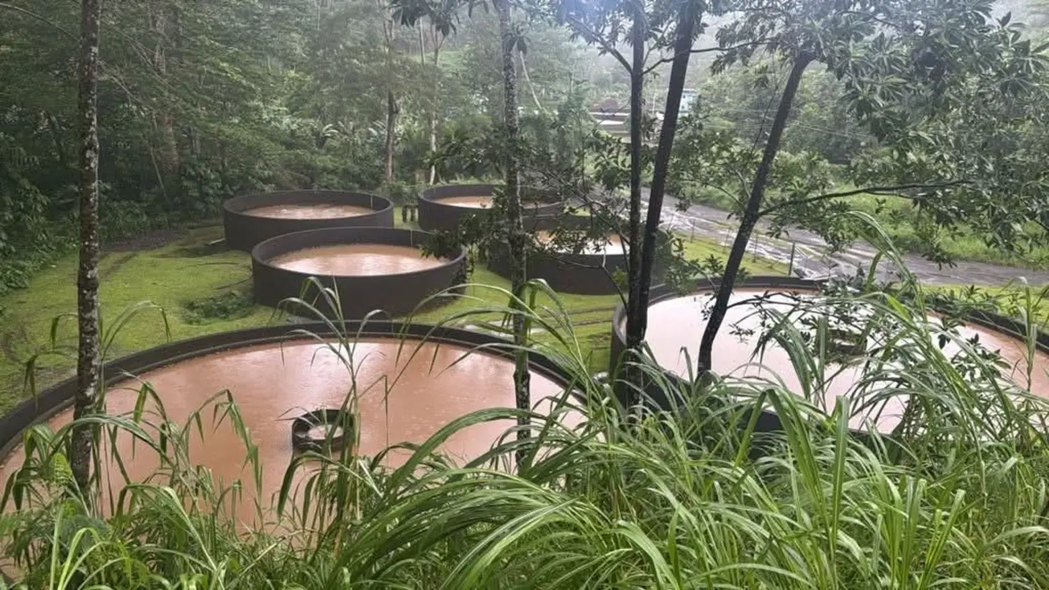 Heavy rainfall disrupts water supply