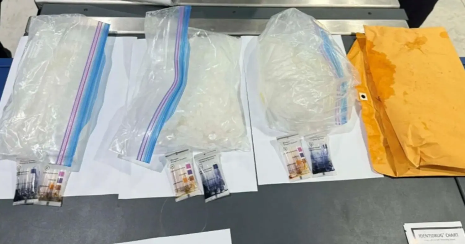 Meth in frozen chicken seized by customs