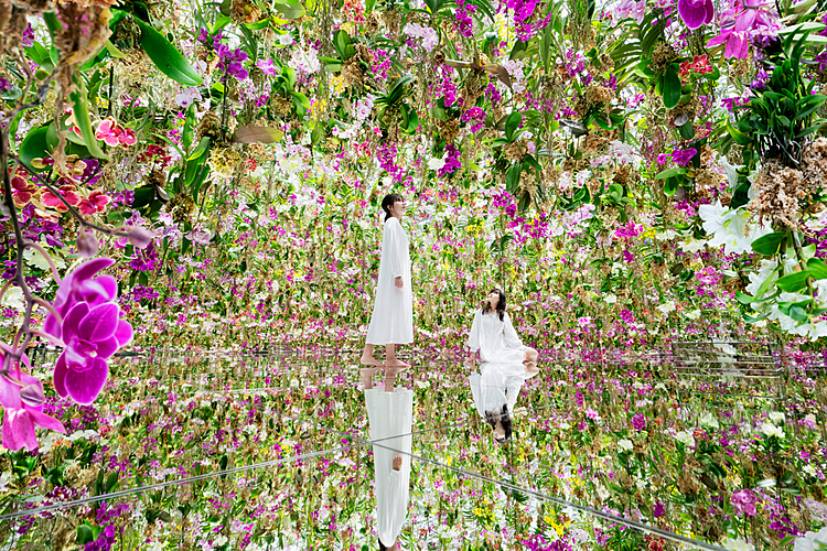teamLab Planets in Tokyo Unveils Two New Immersive Living Garden Artworks on July 2
