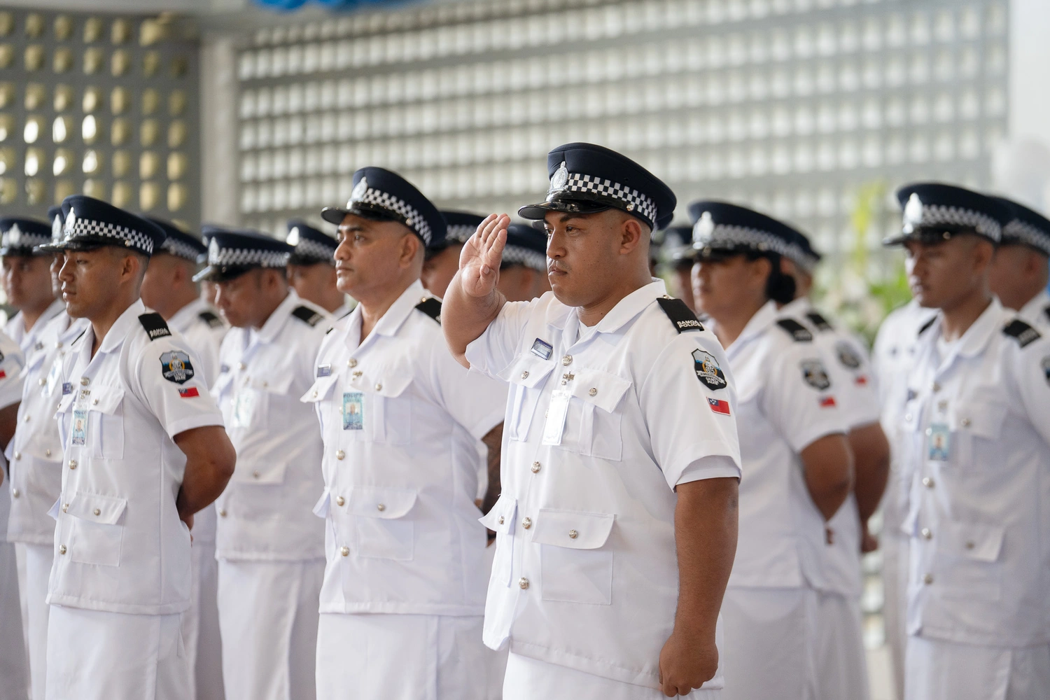 Keeping the cops clean and the laws needed for it