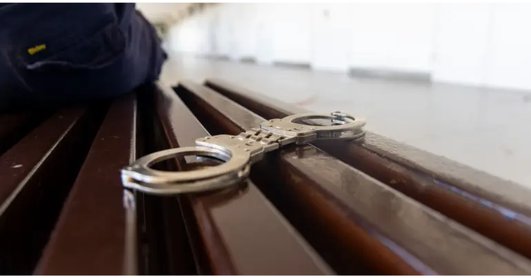 Passport fraudster pleads guilty