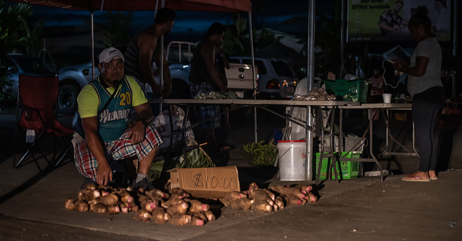 Taro oversupply hits Afiamalu farmer's sales