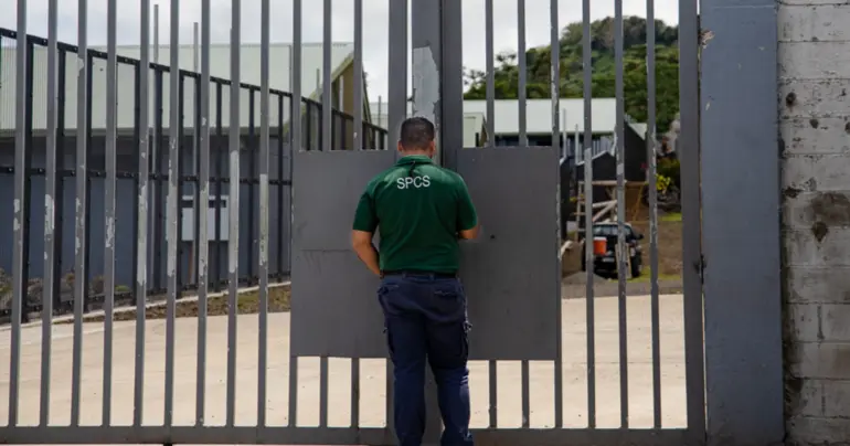 Faleula machete attacker jailed