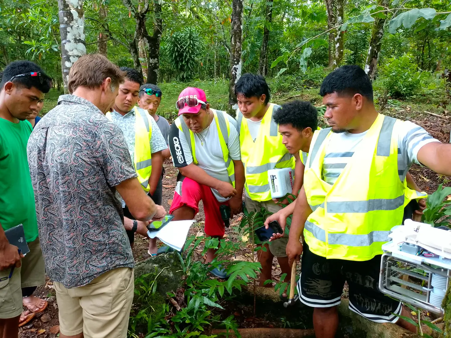 Saving Samoa’s birds: New traps to curb invasive predators