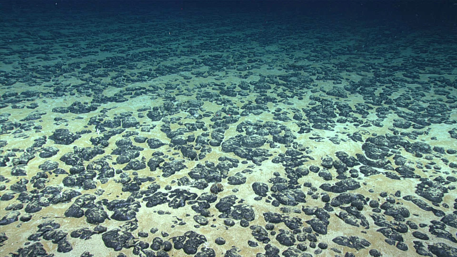 Seabed minerals race ramps up, US to map ocean floor next door