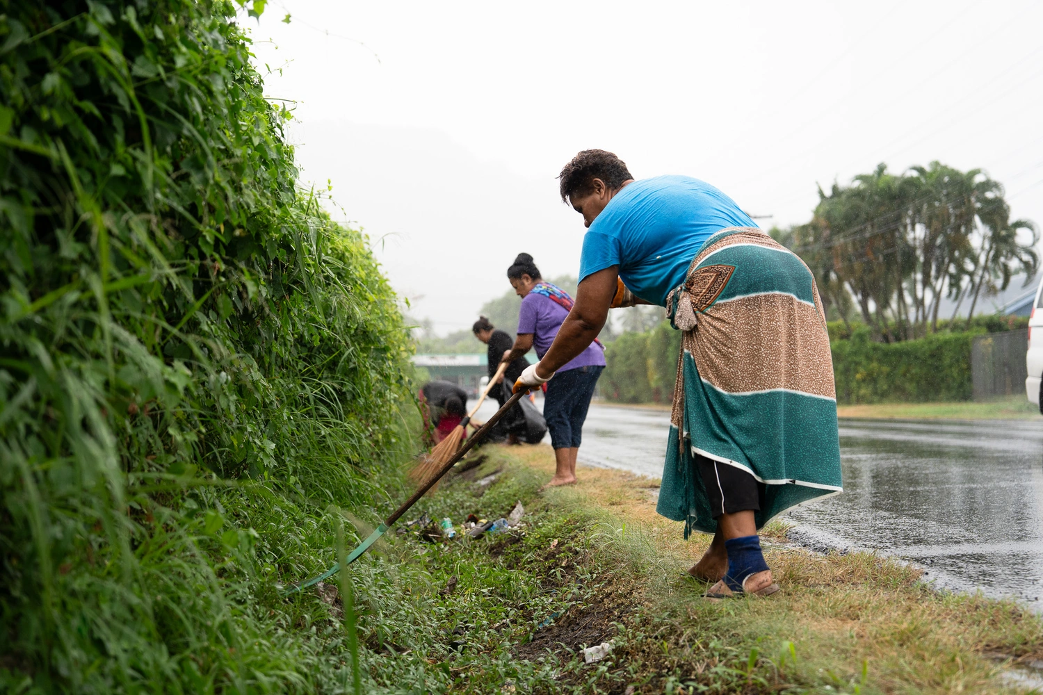 Vailoa acts as dengue cases surge