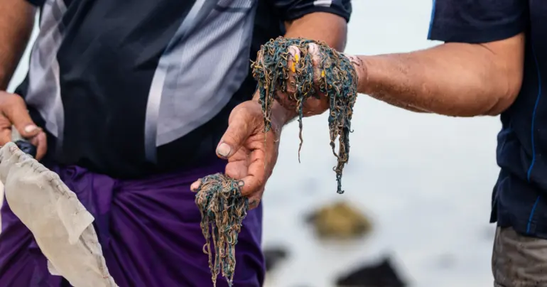 “Almost next to nothing”: Palolo in Apia