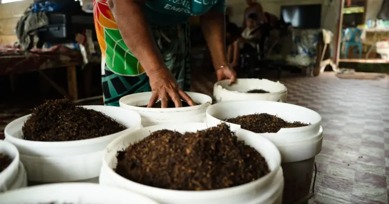 Woman claims local tobacco cures toothaches