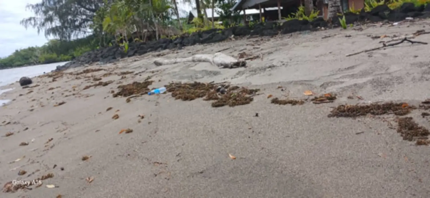 Sataoa Beach Fale battles pollution and tourism decline