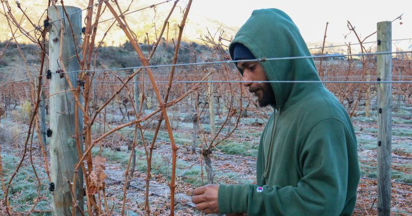How often do Pacific seasonal workers return to New Zealand?