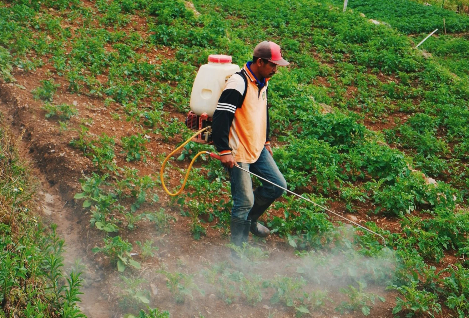 Agriculture responds to Samoa Observer's questions on paraquat ban