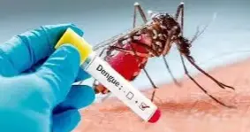 Dengue claims fourth child