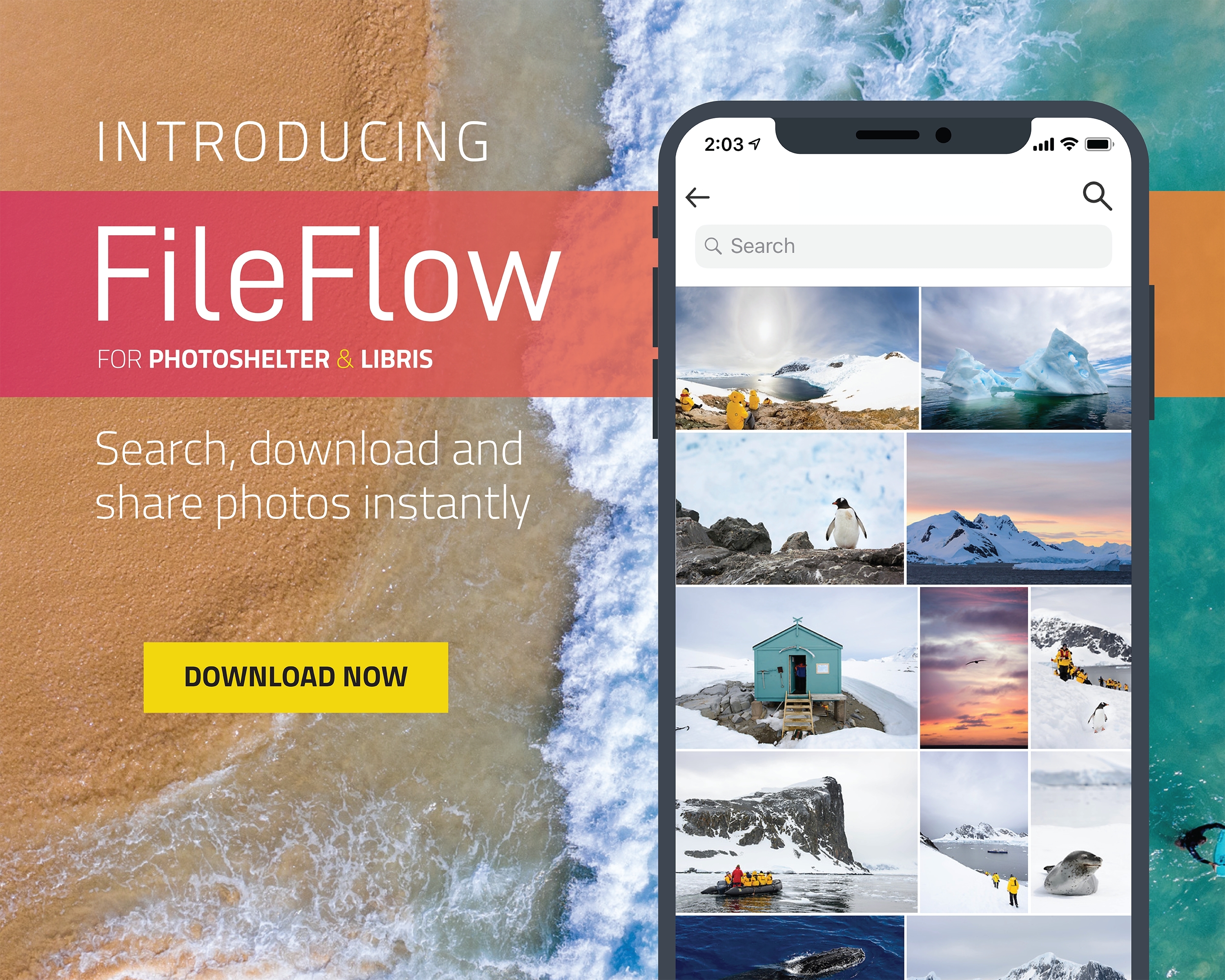 PhotoShelter Launches FileFlow App, Empowering Photographers, Their Clients and Creative Teams to Access and Share Visual Content Instantly