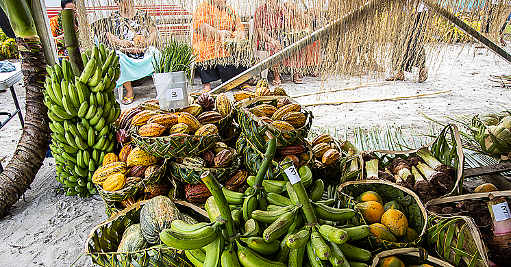 Animal-based diets promote cancer