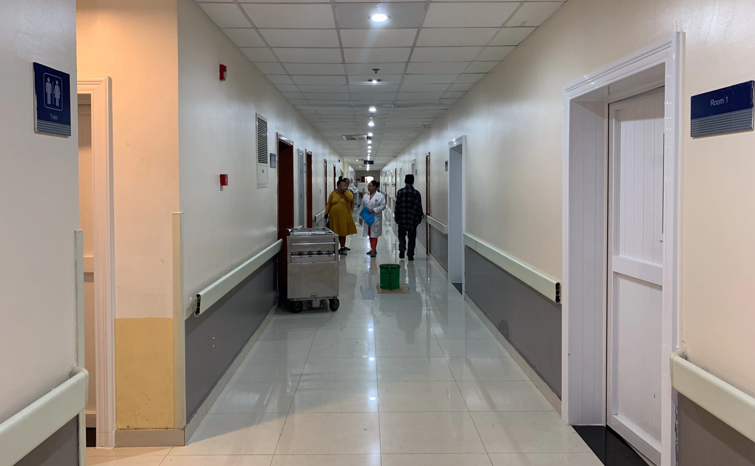 703 dengue cases in the first six months