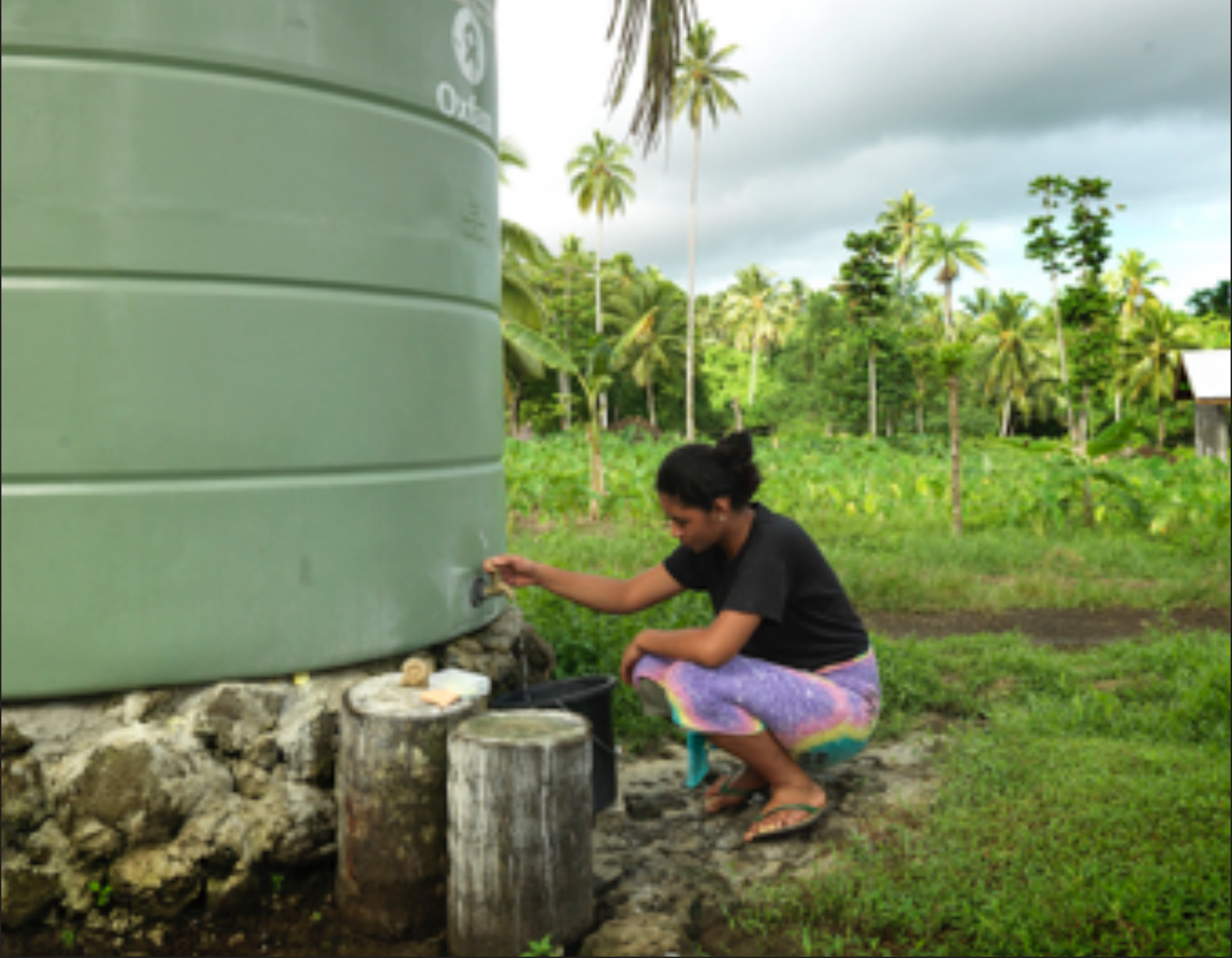 Widening egg scandal hits 17 countries in Europe