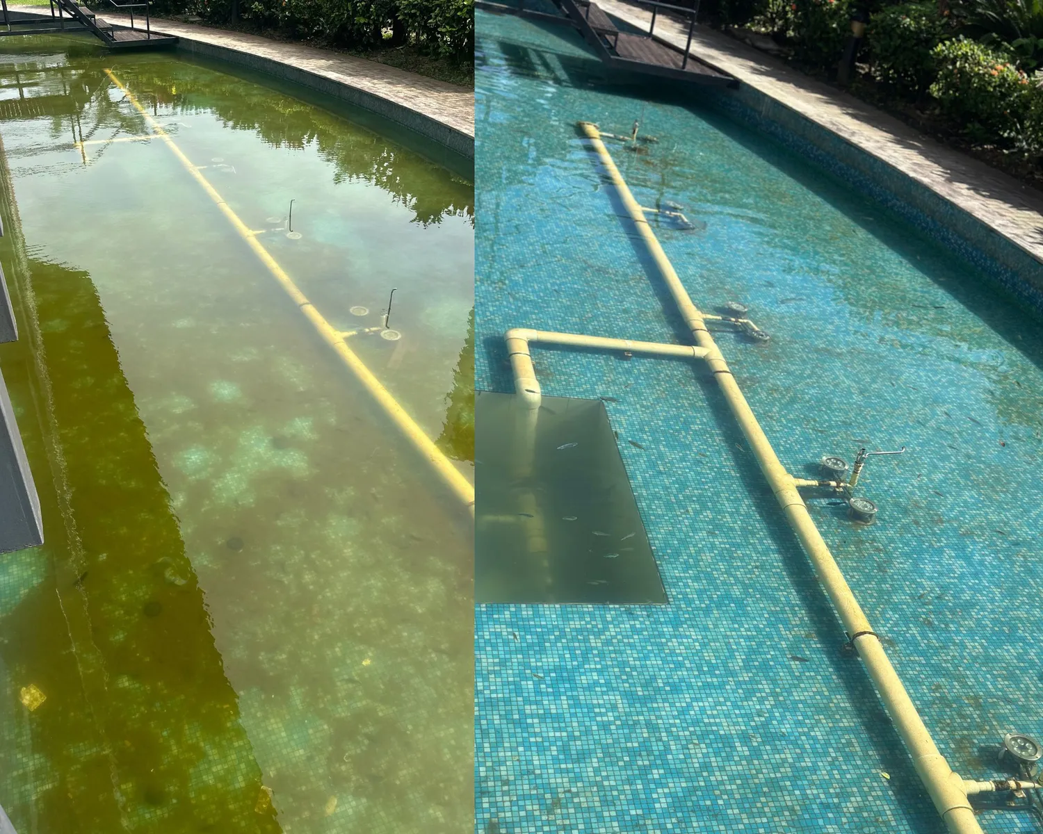 Water pools around TATTE Building cleaned 