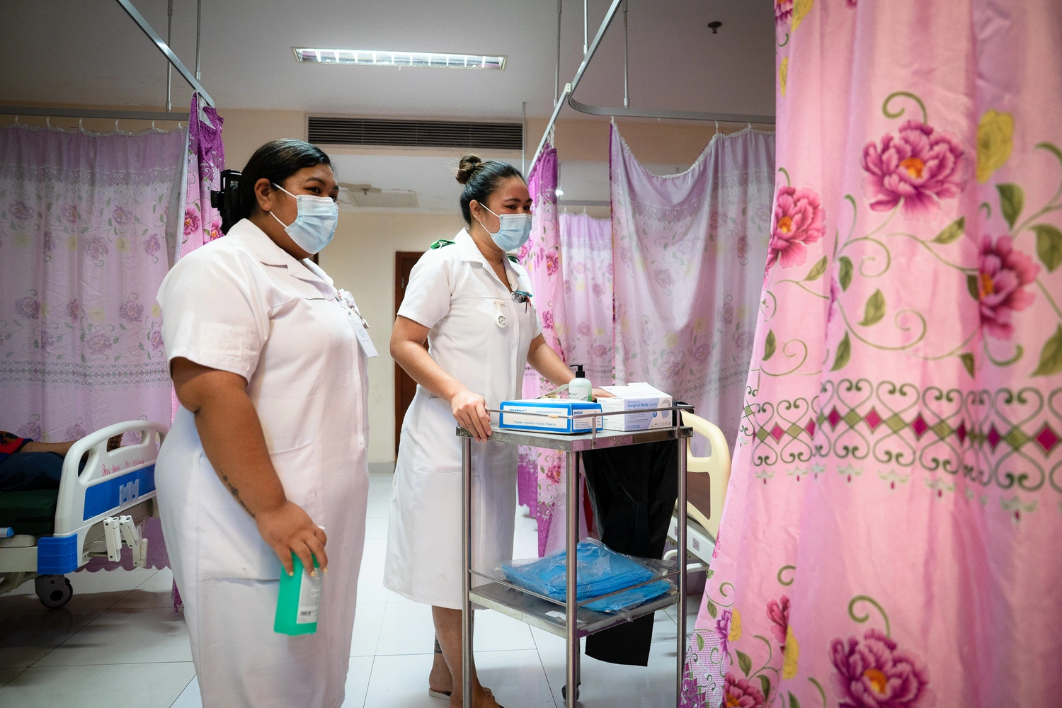 Australia sends help for dengue