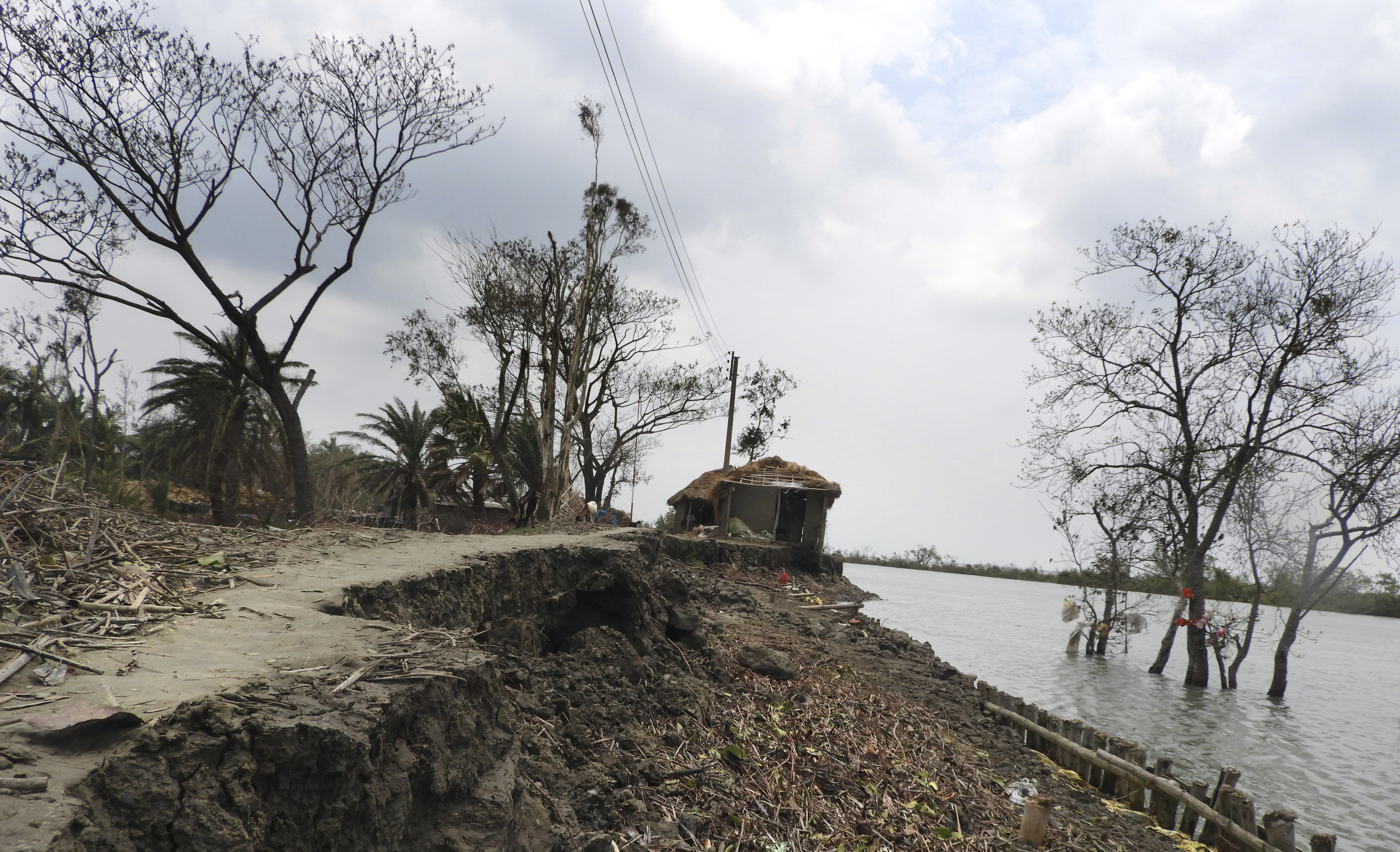 Sundarbans devastated by cyclone, as virus halts migration