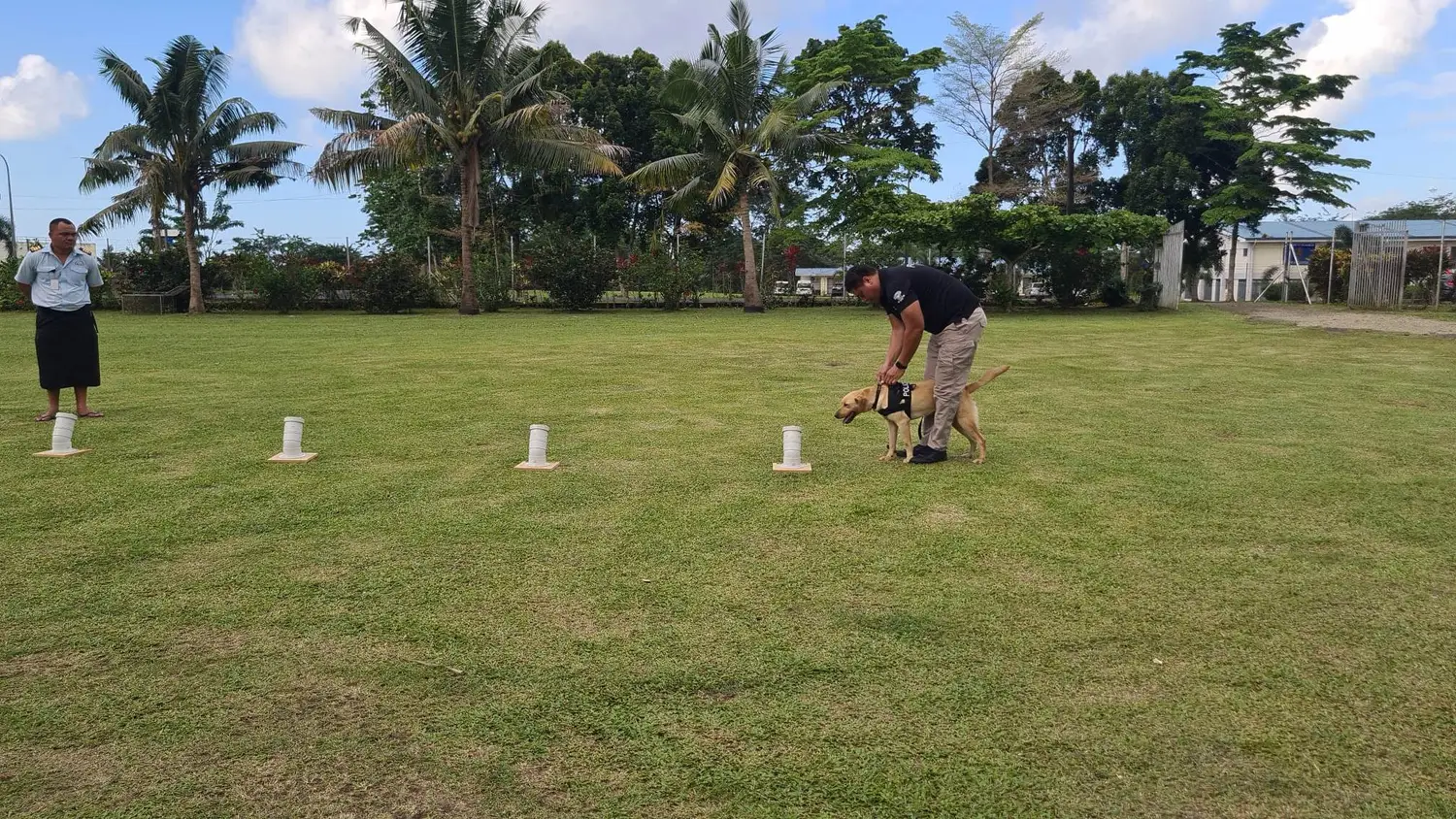 Probe starts in police dog overdose