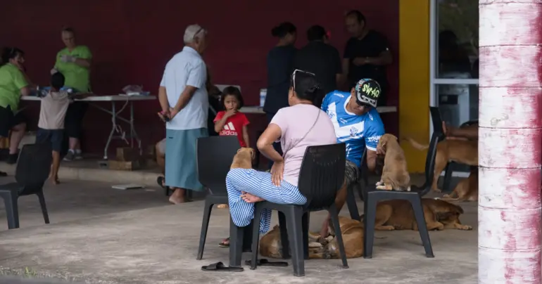 People of the Year: Animal Protection Society - For the love of fur buddies