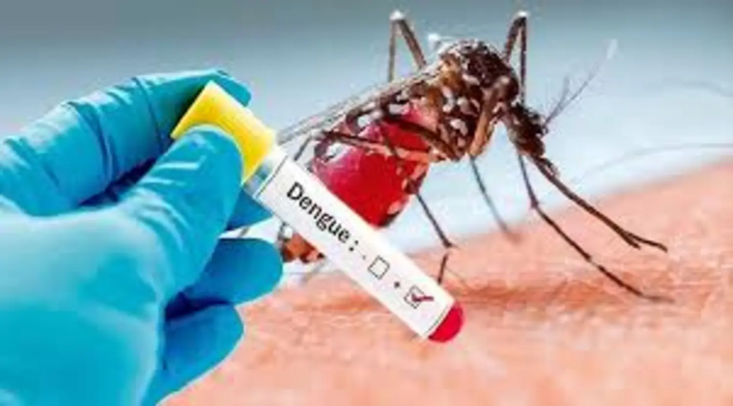 Dengue claims fourth child