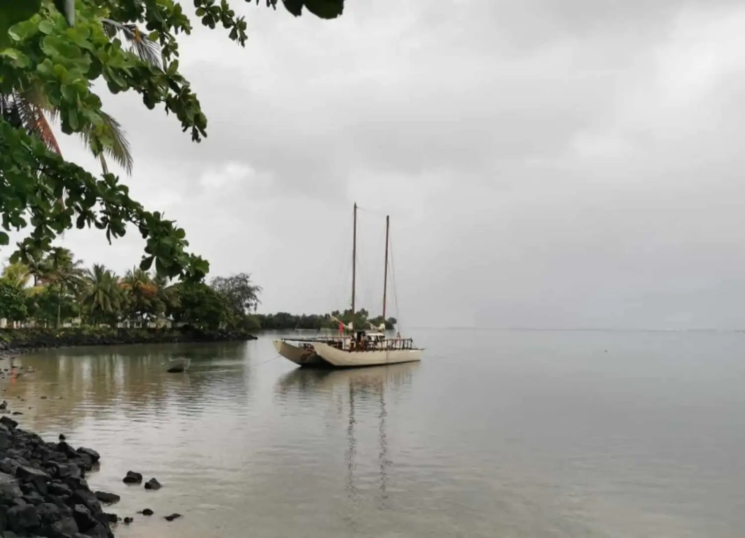 NZ 'waka' to arrive on South Coast