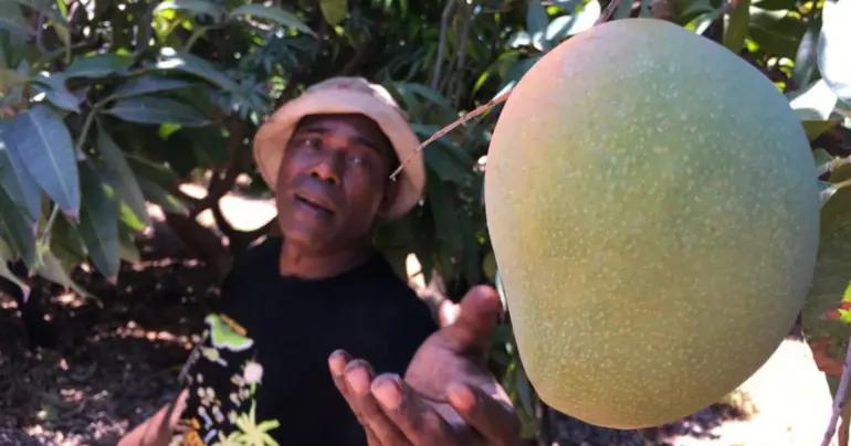 The falling demand for seasonal workers