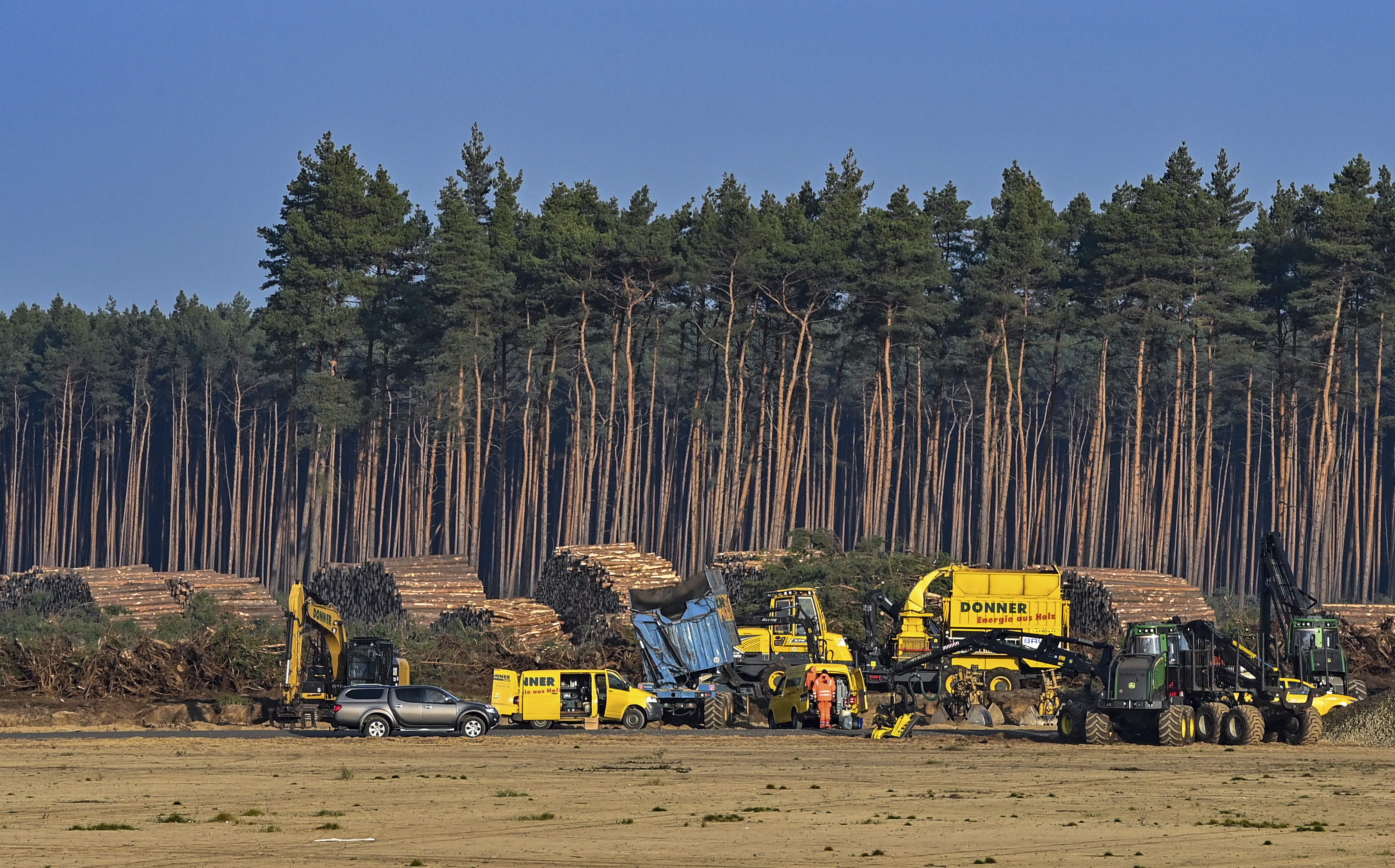 German court halts felling of trees at site of Tesla plant