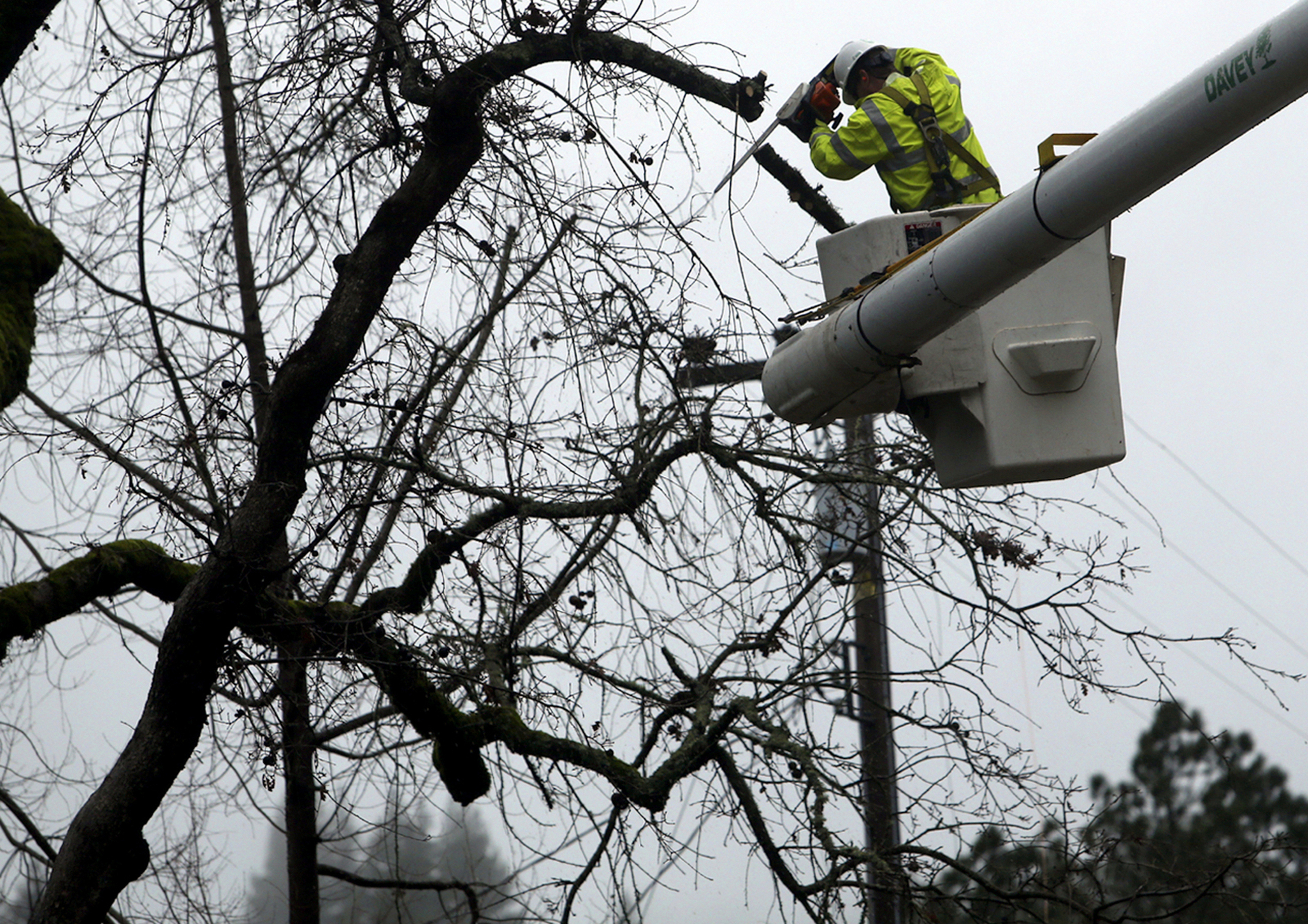 Judge takes oversight of PG&E's wildfire prevention plans