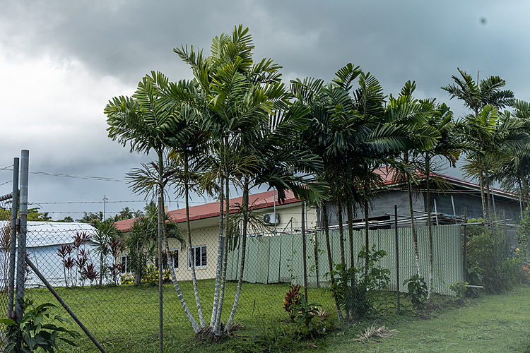 Doctors need rest: Tagaloa on night shifts at district hospitals