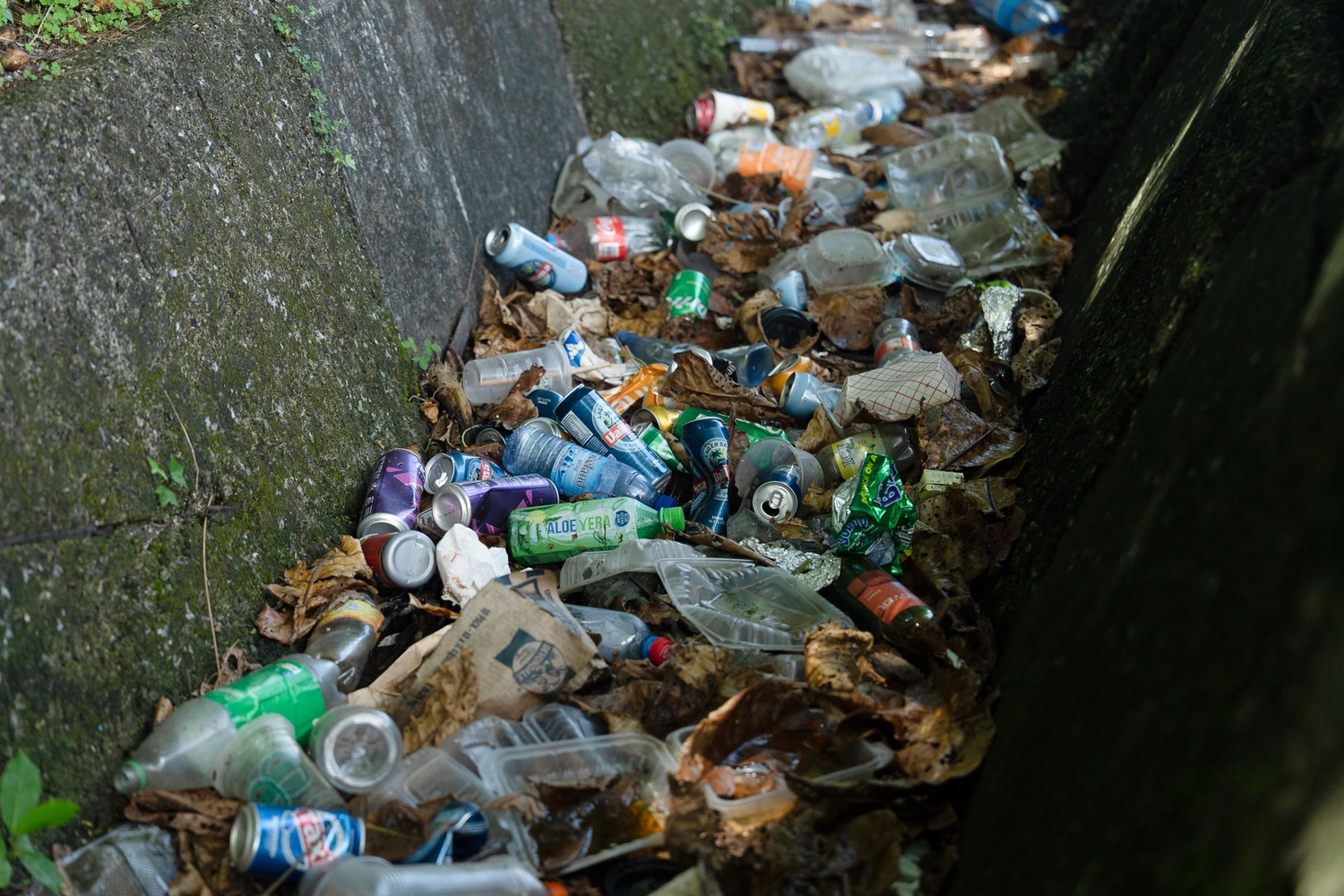 Dumping of rubbish mars Tuanaimato roadside