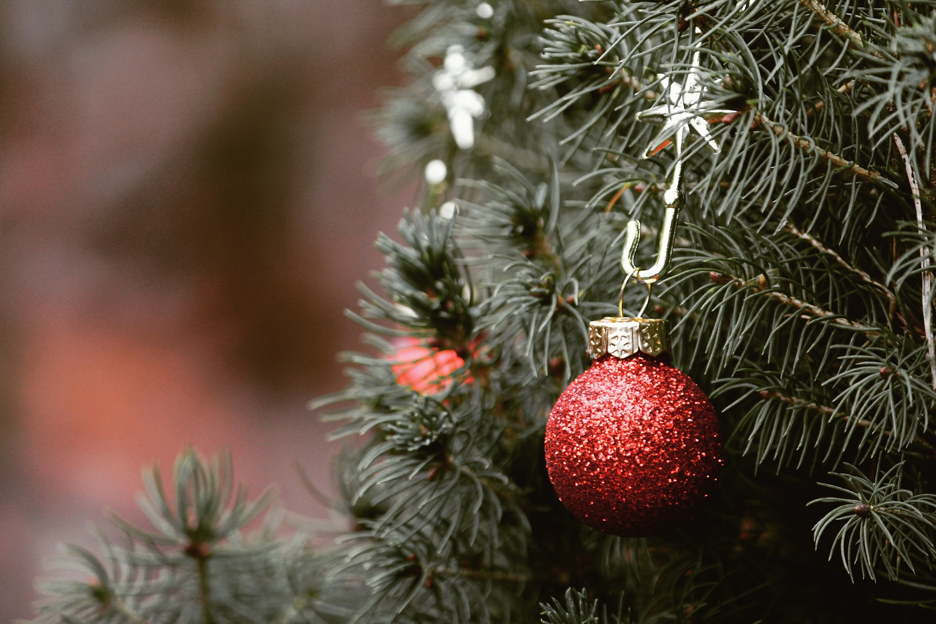 What does Christmas mean to you?
