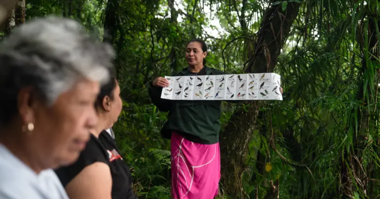 People of the Year: Manumea caretakers - How AI helped with sighting Samoa's Manumea 