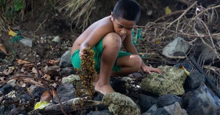 Money growing in the ocean: Turning seaweed to cash