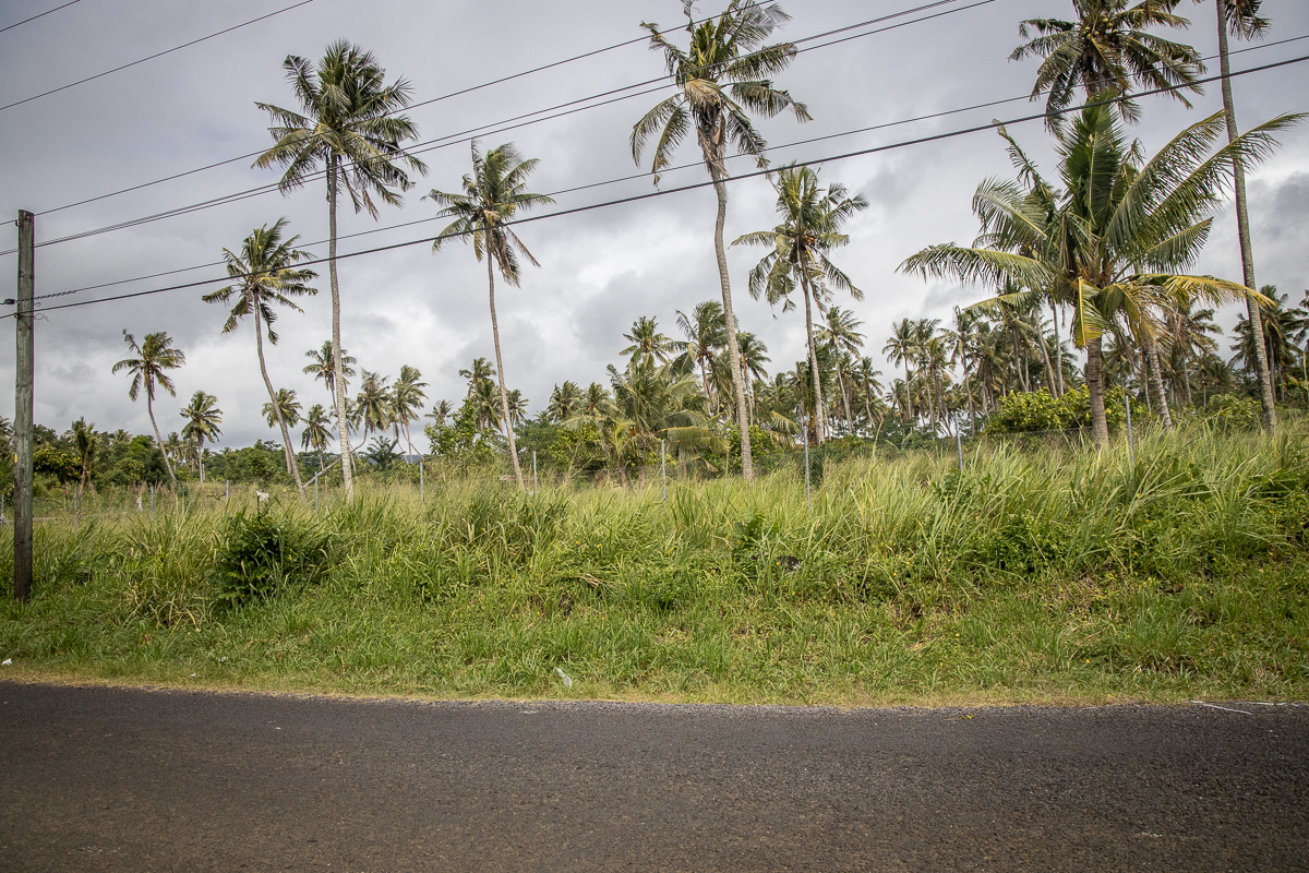 Government gives 5-acre land for zoo