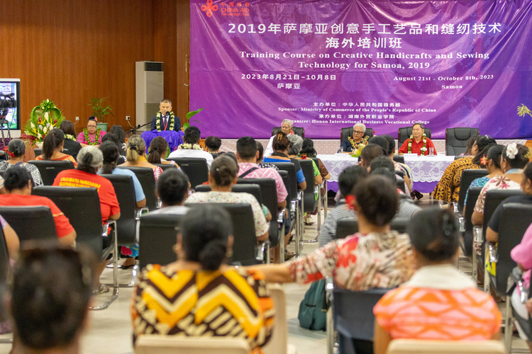 Handicraft, sewing training targets 51 districts
