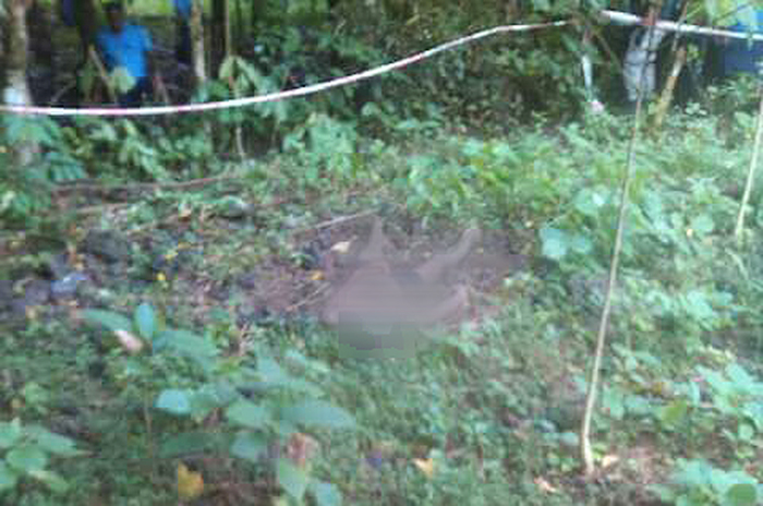 Oil industry exec: US crude exports help keep prices low