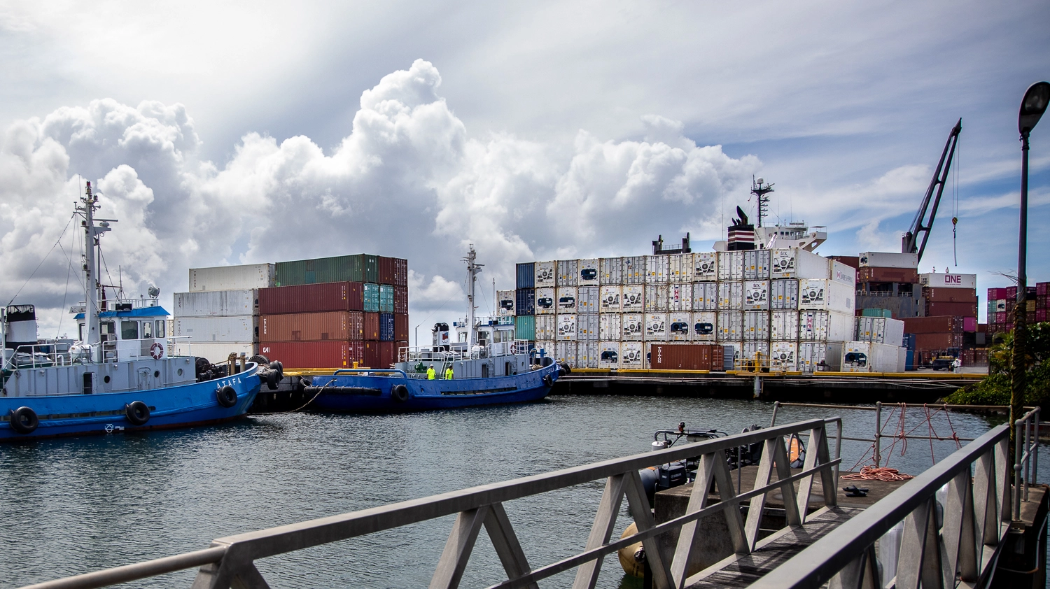 Cargo X-ray scanner to arrive in 2024 