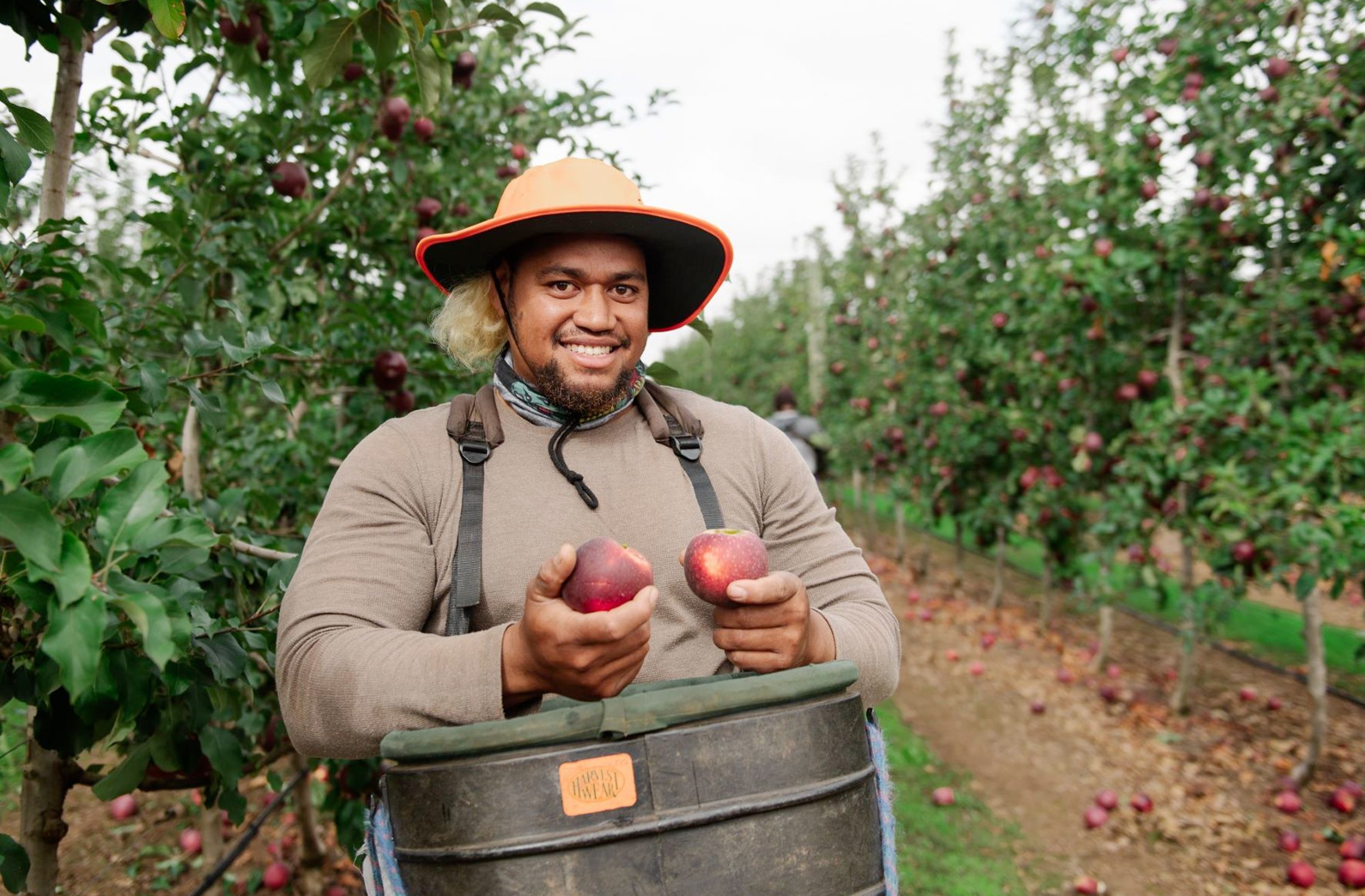Samoa Observer Putting caps on seasonal workers a 'juggling act'